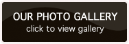 Photo Gallery