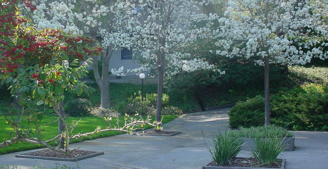 Madera Valley Apartments Courtyard Photo